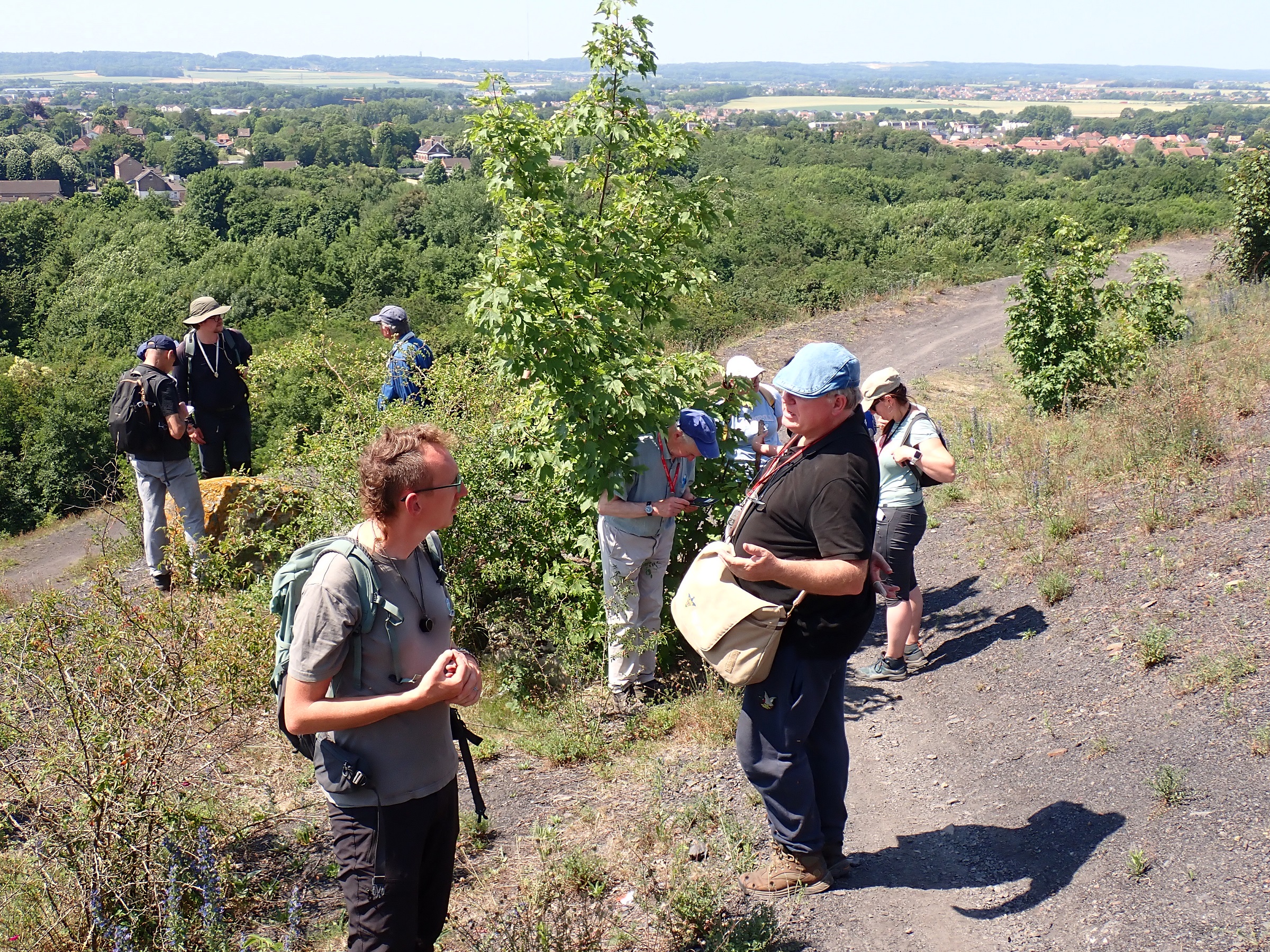 Retour sur les Rencontres botaniques dans le Nord - Pas-de-Calais