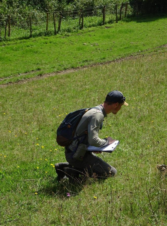 De belles observations transmises par les partenaires que nous avons formés à la phytosociologie, ça fait plaisir !