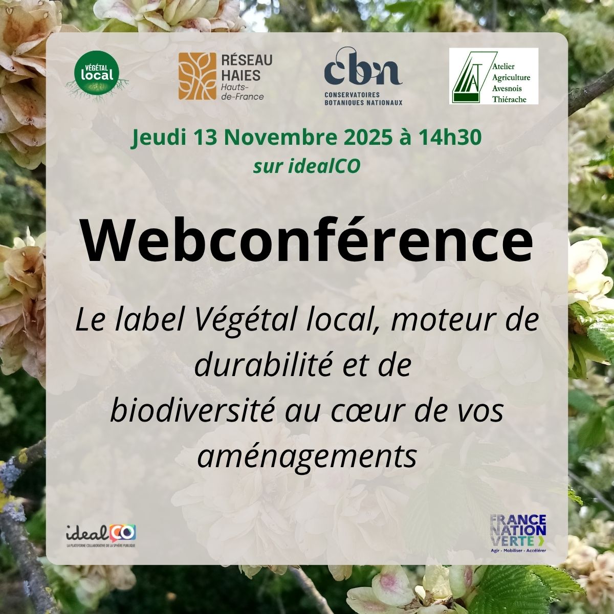 Webconférence : Le label Végétal local, moteur de durabilité et de biodiversité au cœur de vos aménagements