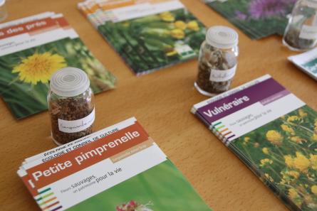 fiches espèces grainothèque