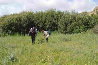 évaluation de l’état de conservation des habitats d’intérêt communautaire sur les massifs dunaires du site Natura 2000 NPC 07