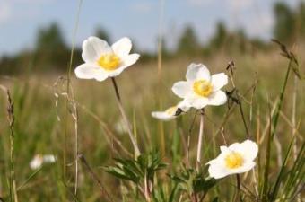 recrutement chargé(e) de communication