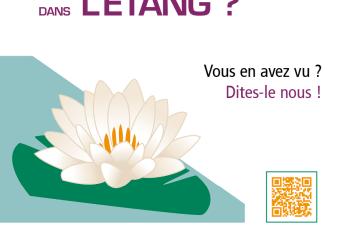 Nénuphar sciences participatives 