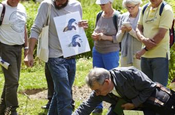 Jardin botanique Bailleul
