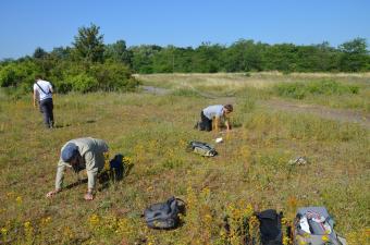 Terril d'Estevelles 62 