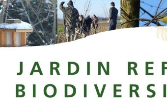 Festival de l'Arbre CBNBL