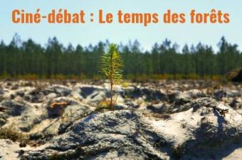 Festival de l'Arbre CBNBL