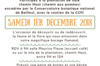 Festival de l'Arbre CBNBL