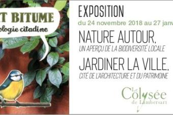 Vert bitume - L'écologie citadine