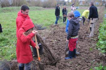 Festival de l'Arbre CBNBL