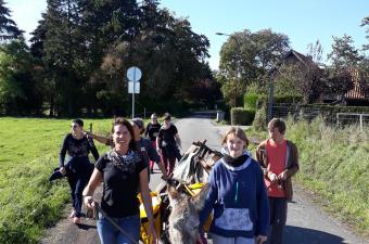 Anes évasion - Nature et handicap