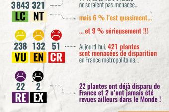Infographie Liste rouge