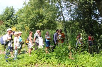 Sorties nature CBNBL