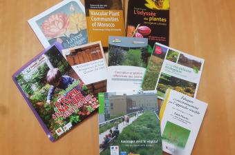 livres bibliothèque CBNBL