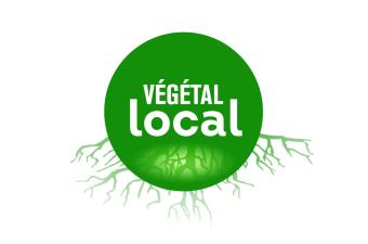 Végétal local
