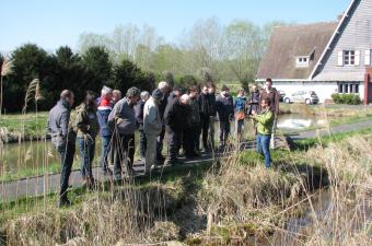 collectif Characées 