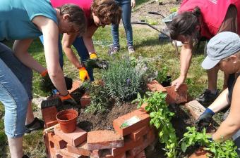 Spirale d'aromatiques C. Henderyckx