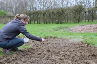 Marie-Sophie semis prairie fleurie