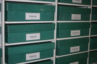 Herbier de référence CBNBL