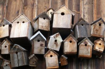 Atelier fabrication de nichoirs