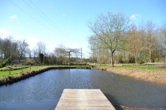 Jardin des plantes sauvages mars