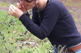 Pauline Rolandeau CBNBL