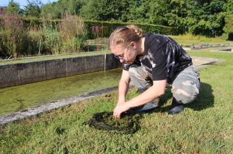 Inventaire amphibien CBNBL