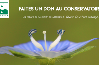 faites un don au CBNBL