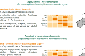 maquette Végétation du nord-ouest CBNBL