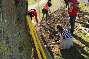 sciences collèges nord cbnbl