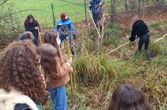 lycée des Flandres CBNBL 