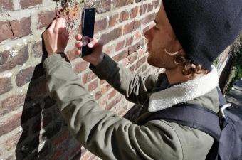 Nathan Guillaume CBNBL