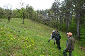 sortie Vallée de l'automne CBNBL