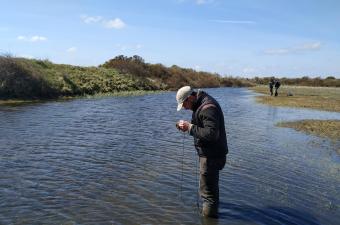 Characées RNN Platier d'Oye CBNBL