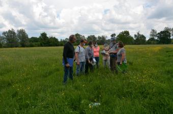 concours prairies CBNBL Rouen