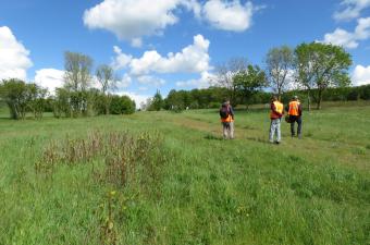 Enjeux floristiques du réseau de la DIRNO