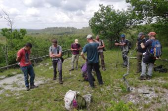 À Fontainebleau pour comprendre les pelouses des hauts de France 