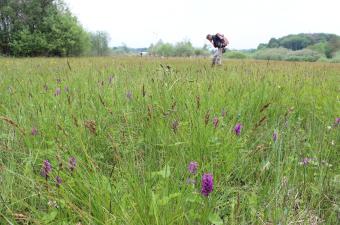 Marais de Fouch CBNBL