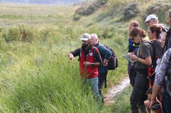 formation VEGELITES Baie de Canche