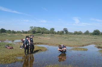collectif Characées CBNBL