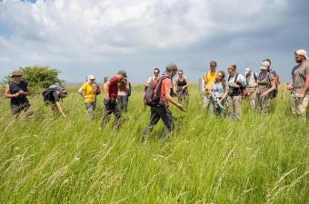 Inventaire flore participatif à Eecke