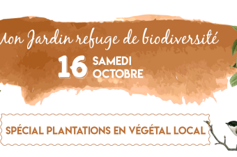 Mon jardin refuge de biodiversité // Bailleul