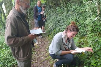 inventaires participatifs flore sauvage