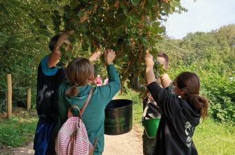 journée sensibilisation Végétal local®