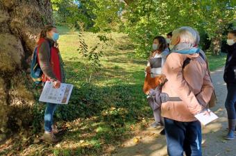 sortie lichens CBN Bailleul