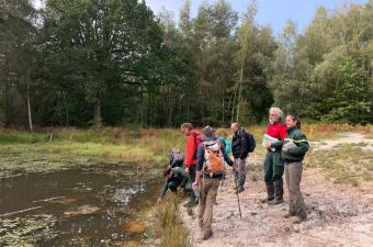 collectif Characées CBNBL