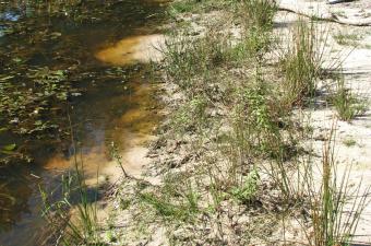 berge restaurée CBN Bailleul