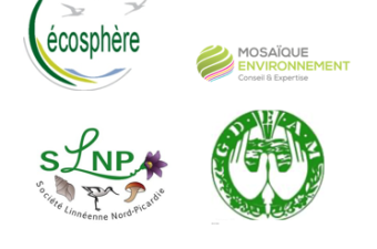 collaborateurs Digitale2