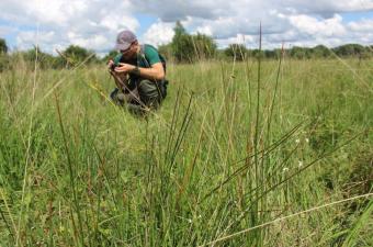 bas marais alcalin CBN Bailleul