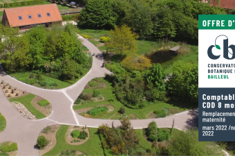 offre emploi comptable